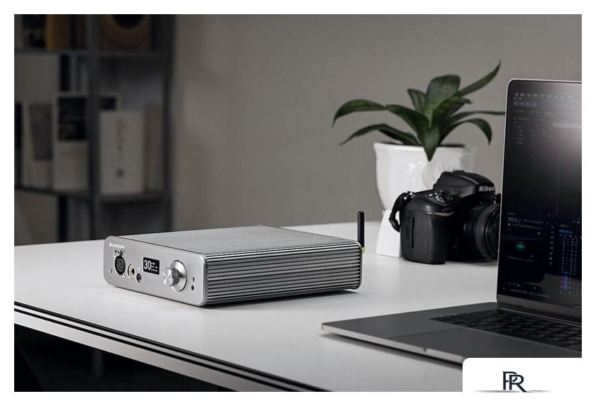 Настольный усилитель Burson Audio Conductor 3Х Performance - Изображение №10 — Интернет-магазин ПроЗаказ