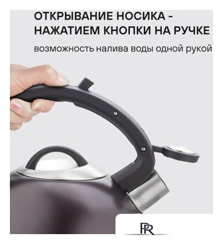 Чайник со свистком Rondell Tierno RDS‑1900 - Изображение №3 — Интернет-магазин ПроЗаказ