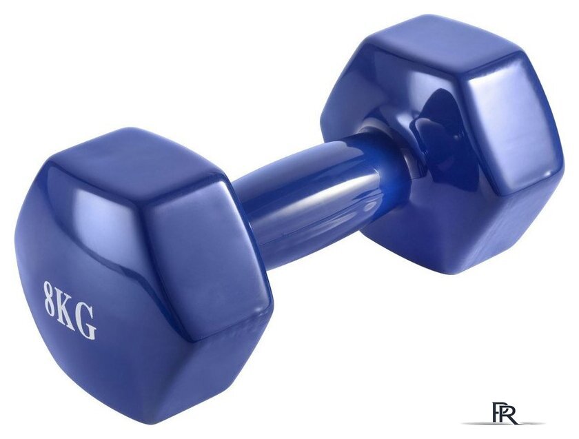 Гантель VictoryFit VF-DV080 8 кг - Изображение №1 — Интернет-магазин ПроЗаказ