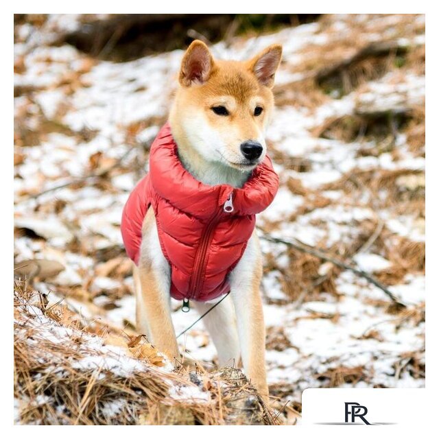 Жилетка для животных Puppia Ultra Light Vest A PAPD-JM1670-RD-XXL (красный) - Изображение №4 — Интернет-магазин ПроЗаказ