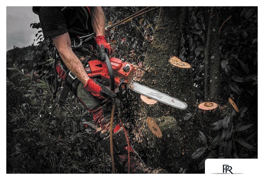 Аккумуляторная пила Milwaukee M18 FTHCHS35-802 4933479589 (с 2-мя АКБ) - Изображение №16 — Интернет-магазин ПроЗаказ
