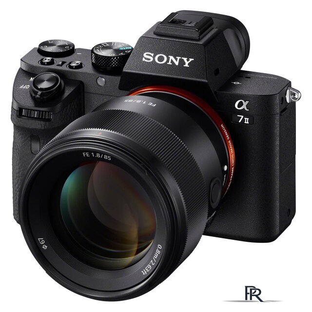 Объектив Sony FE 85mm F1.8 [SEL85F18] - Изображение №4 — Интернет-магазин ПроЗаказ