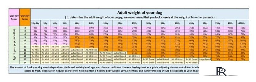 Сухой корм для собак Grandorf Dog Puppy Lamb & Turkey (с ягненком и индейкой) 10 кг - Изображение №5 — Интернет-магазин ПроЗаказ