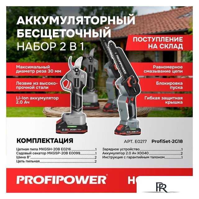  Profipower ProfiSet-2G20 E0217 (цепная пила, секатор, 2 АКБ) - Изображение №1 — Интернет-магазин ПроЗаказ
