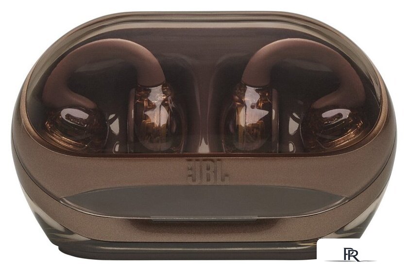 Наушники JBL Soundgear Clips (коричневый) - Изображение №3 — Интернет-магазин ПроЗаказ