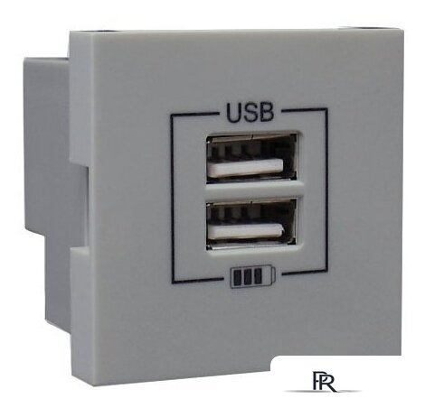 Розетка USB Efapel 45439 SPR - Изображение №1 — Интернет-магазин ПроЗаказ