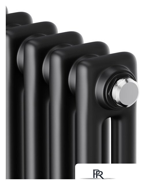 Стальной трубчатый радиатор Royal Thermo Insignia C2180 - 10 секций RAL9005m - Изображение №3 — Интернет-магазин ПроЗаказ