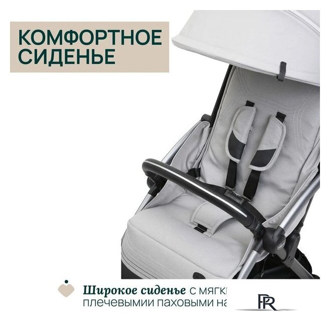 Коляска прогулочная «книга» Chicco Goody Xplus Pearl (Grey) - Изображение №20 — Интернет-магазин ПроЗаказ