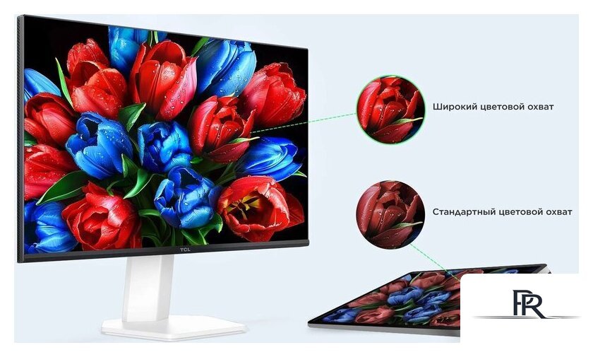 Монитор TCL 24G54 - Изображение №13 — Интернет-магазин ПроЗаказ