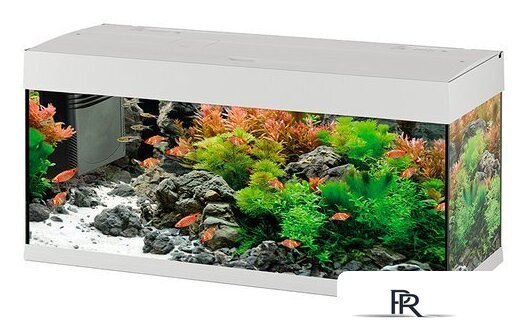 Аквариум Ferplast Dubai 100 led 190 л (белый) - Изображение №1 — Интернет-магазин ПроЗаказ