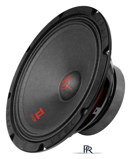 Среднечастотная АС Урал ТТ 200 Гром - Изображение №2 — Интернет-магазин ПроЗаказ