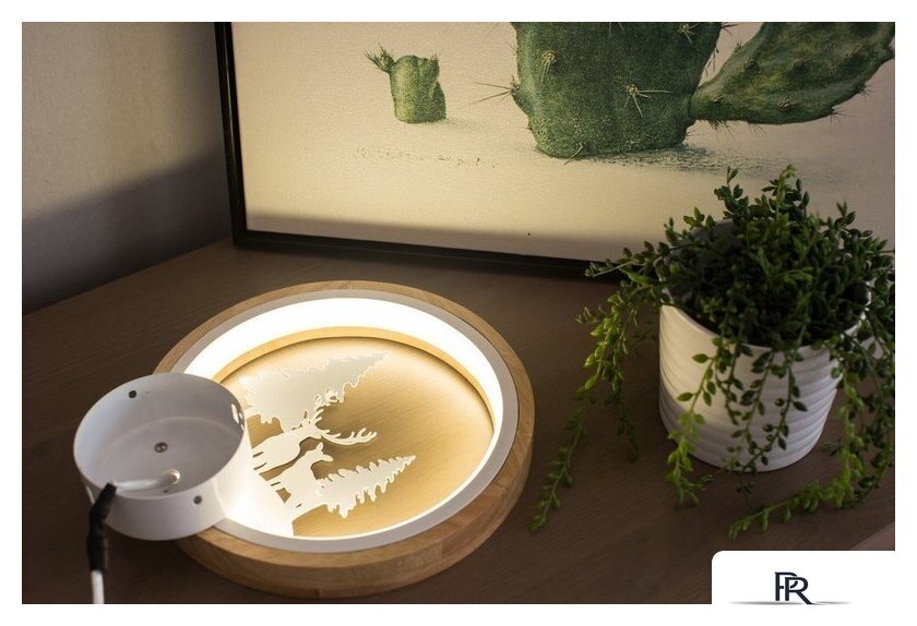 Бра Home Light Астерия C053-1-W - Изображение №3 — Интернет-магазин ПроЗаказ