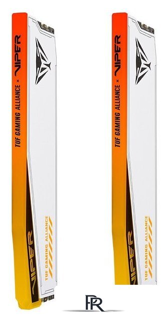 Оперативная память Patriot Viper Elite 5 RGB TUF Gaming Alliance 2x24ГБ DDR5 6000 МГц PVER548G60C36KT - Изображение №4 — Интернет-магазин ПроЗаказ