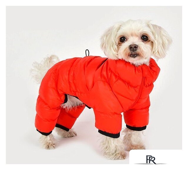 Комбинезон для животных Puppia Jumpesuit B PAPD-JM1673-RD-XXL (красный) - Изображение №4 — Интернет-магазин ПроЗаказ