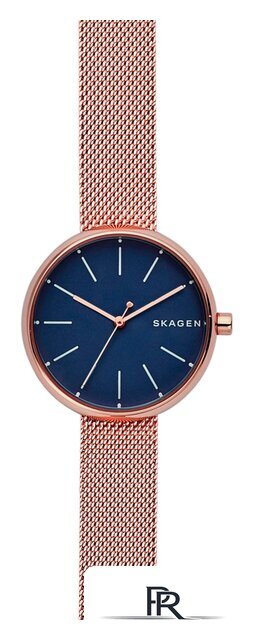 Наручные часы Skagen SKW2593 - Изображение №1 — Интернет-магазин ПроЗаказ