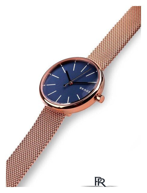 Наручные часы Skagen SKW2593 - Изображение №2 — Интернет-магазин ПроЗаказ