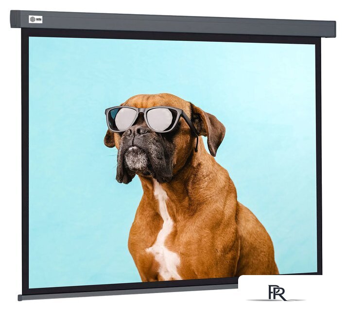 Проекционный экран CACTUS Wallscreen 149x265 CS-PSW-149X265-SG - Изображение №1 — Интернет-магазин ПроЗаказ