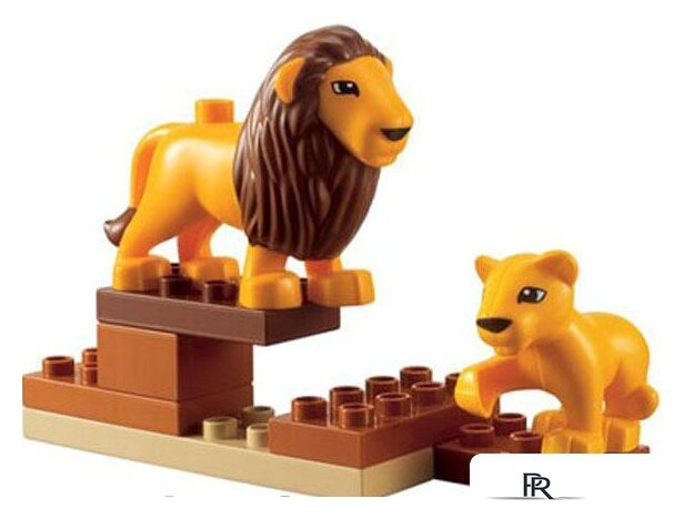 Набор деталей LEGO Education 45012 Дикие животные - Изображение №5 — Интернет-магазин ПроЗаказ