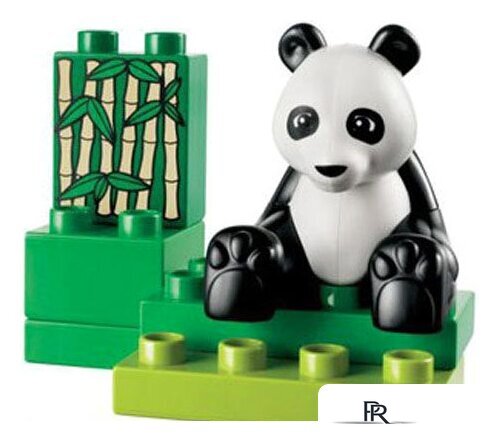 Набор деталей LEGO Education 45012 Дикие животные - Изображение №8 — Интернет-магазин ПроЗаказ