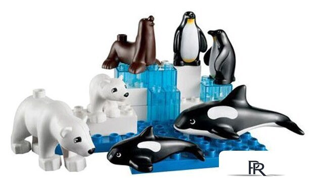 Набор деталей LEGO Education 45012 Дикие животные - Изображение №7 — Интернет-магазин ПроЗаказ