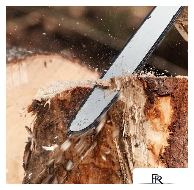 Бензопила Oasis GS-17 - Изображение №4 — Интернет-магазин ПроЗаказ