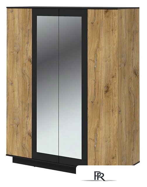 Шкаф распашной Интерлиния Quartz QZ-ШК3 (дуб нокс/черный) - Изображение №1 — Интернет-магазин ПроЗаказ