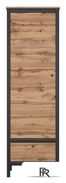 Шкаф распашной Black Red White Loft REG1D1S (дуб вотан/черный) - Изображение №1 — Интернет-магазин ПроЗаказ