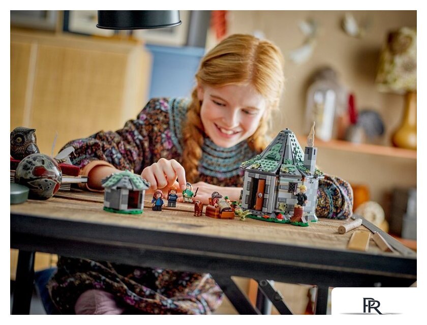 Конструктор LEGO Harry Potter Хижина Хагрида неожиданный визит 76428 - Изображение №8 — Интернет-магазин ПроЗаказ