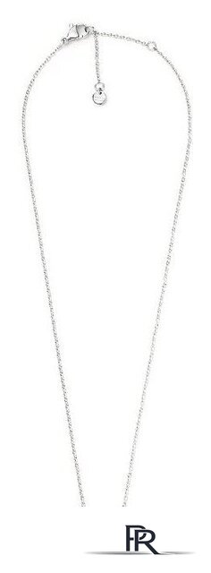 Колье Skagen SKJ1561040 - Изображение №1 — Интернет-магазин ПроЗаказ