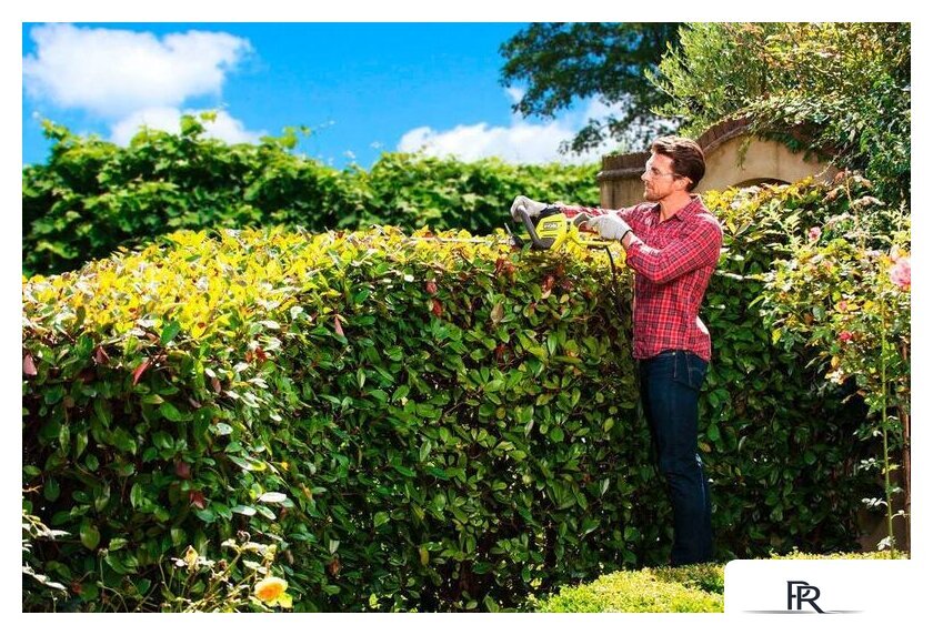 Кусторез Ryobi RHT5655RS - Изображение №5 — Интернет-магазин ПроЗаказ