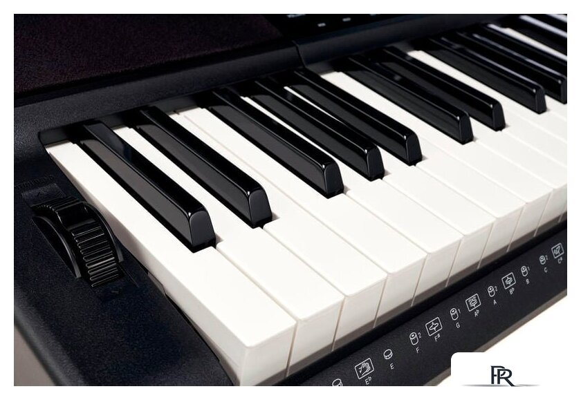 Синтезатор Casio CT-X800 - Изображение №13 — Интернет-магазин ПроЗаказ