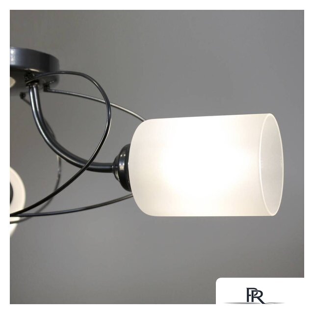 Припотолочная люстра Элетех Орбиталь 161 НСБ 01-6х60-106 Е27 1005404584 (хром) - Изображение №9 — Интернет-магазин ПроЗаказ