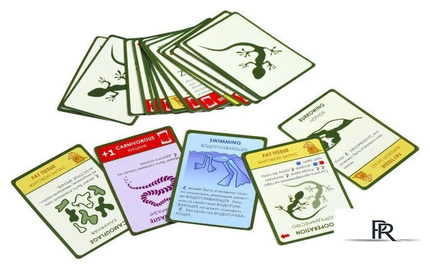 Настольная игра Правильные игры Эволюция. Подарочное издание - Изображение №15 — Интернет-магазин ПроЗаказ