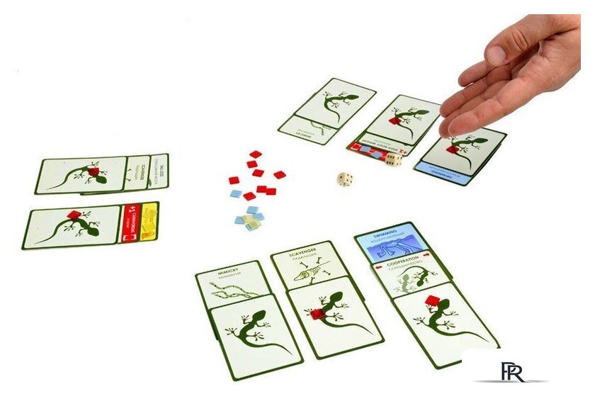 Настольная игра Правильные игры Эволюция. Подарочное издание - Изображение №16 — Интернет-магазин ПроЗаказ