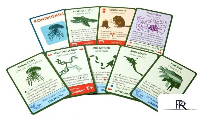 Настольная игра Правильные игры Эволюция. Подарочное издание - Изображение №11 — Интернет-магазин ПроЗаказ