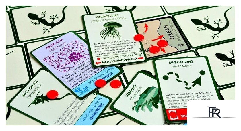 Настольная игра Правильные игры Эволюция. Подарочное издание - Изображение №17 — Интернет-магазин ПроЗаказ