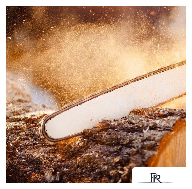 Бензопила Oasis GS-14 - Изображение №5 — Интернет-магазин ПроЗаказ