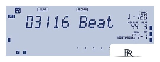 Синтезатор Casio CT-X5000 - Изображение №20 — Интернет-магазин ПроЗаказ