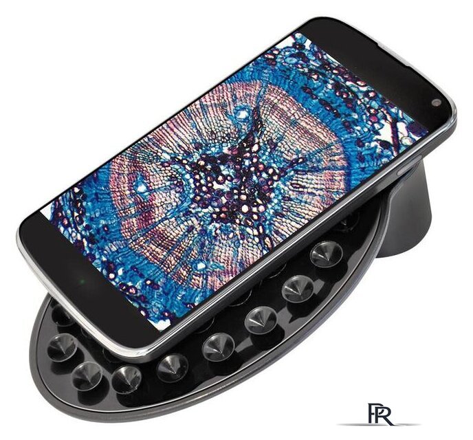 Детский микроскоп Bresser Junior Biolux SEL 40–1600x 74322 (синий) - Изображение №9 — Интернет-магазин ПроЗаказ