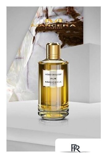 Парфюмерная вода Mancera Aoud Exclusif EdP (120 мл) - Изображение №1 — Интернет-магазин ПроЗаказ