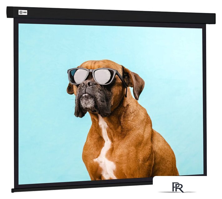 Проекционный экран CACTUS Wallscreen 183x244 CS-PSW-183X244-BK - Изображение №1 — Интернет-магазин ПроЗаказ