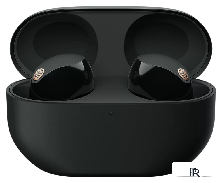 Наушники Sony WF-1000XM5 (черный) - Изображение №1 — Интернет-магазин ПроЗаказ