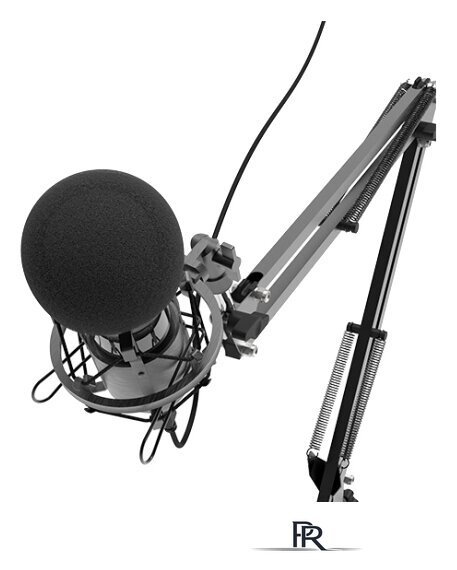 Проводной микрофон Ritmix RDM-180 - Изображение №4 — Интернет-магазин ПроЗаказ