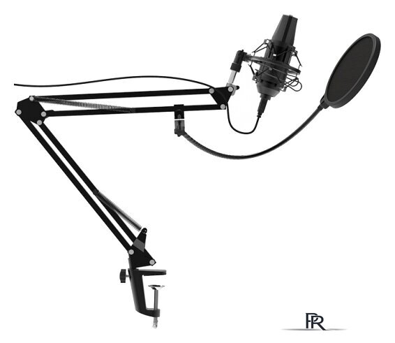 Проводной микрофон Ritmix RDM-180 - Изображение №2 — Интернет-магазин ПроЗаказ