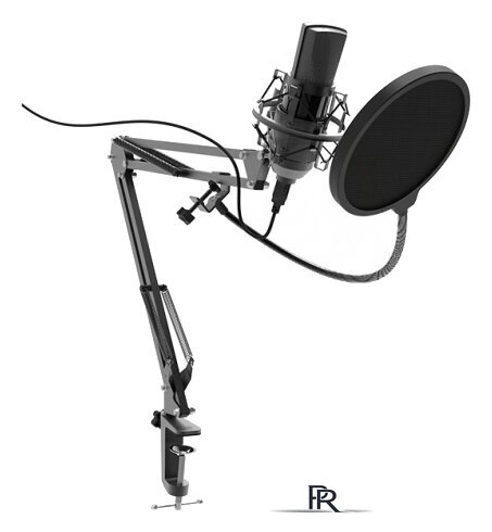 Проводной микрофон Ritmix RDM-180 - Изображение №1 — Интернет-магазин ПроЗаказ