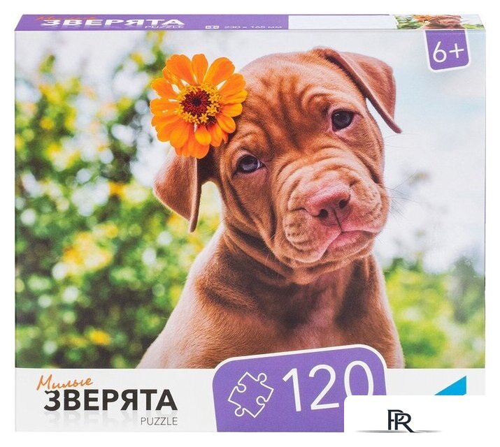 Пазл Dream Makers Зверята RI1203C - Изображение №2 — Интернет-магазин ПроЗаказ