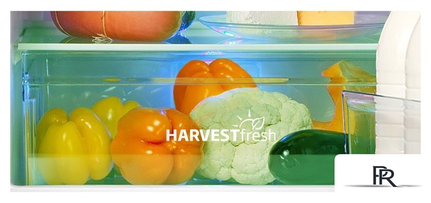 Холодильник BEKO B3R0CNK312HG - Изображение №6 — Интернет-магазин ПроЗаказ