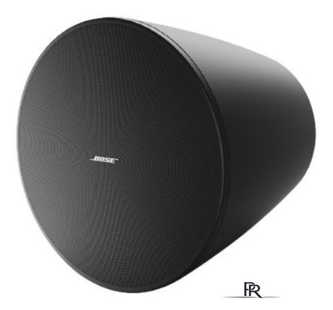  Bose DesignMax DM10P-SUB (черный) - Изображение №1 — Интернет-магазин ПроЗаказ