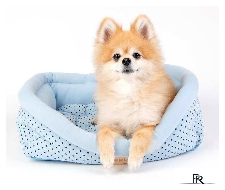 Лежак Puppia Cozy Dot OASA-AU5983-BL-FR (голубой) - Изображение №4 — Интернет-магазин ПроЗаказ