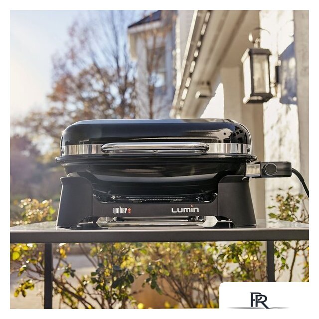 Гриль Weber Lumin 92010979 - Изображение №2 — Интернет-магазин ПроЗаказ